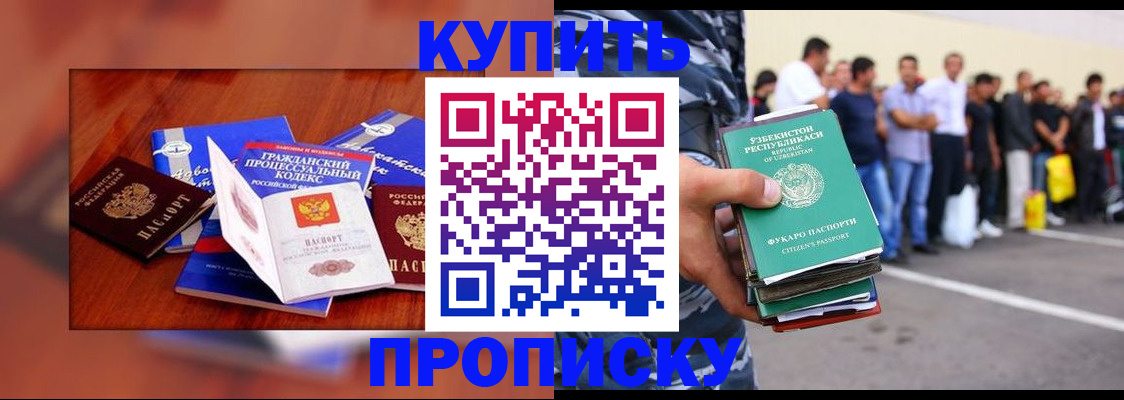 прописка для школы в Кудрово